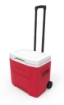 Pilt Jahutuskast Igloo Laguna 28 Roller (26L) Punane