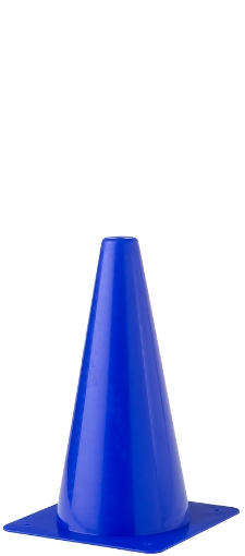 Pilt Plastikust treeningkoonus 23cm - Sinine 
